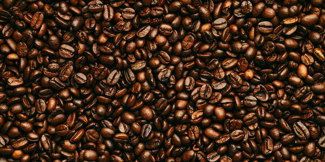 The 10 Best Medium Roast Whole Bean Coffees For Your Needs