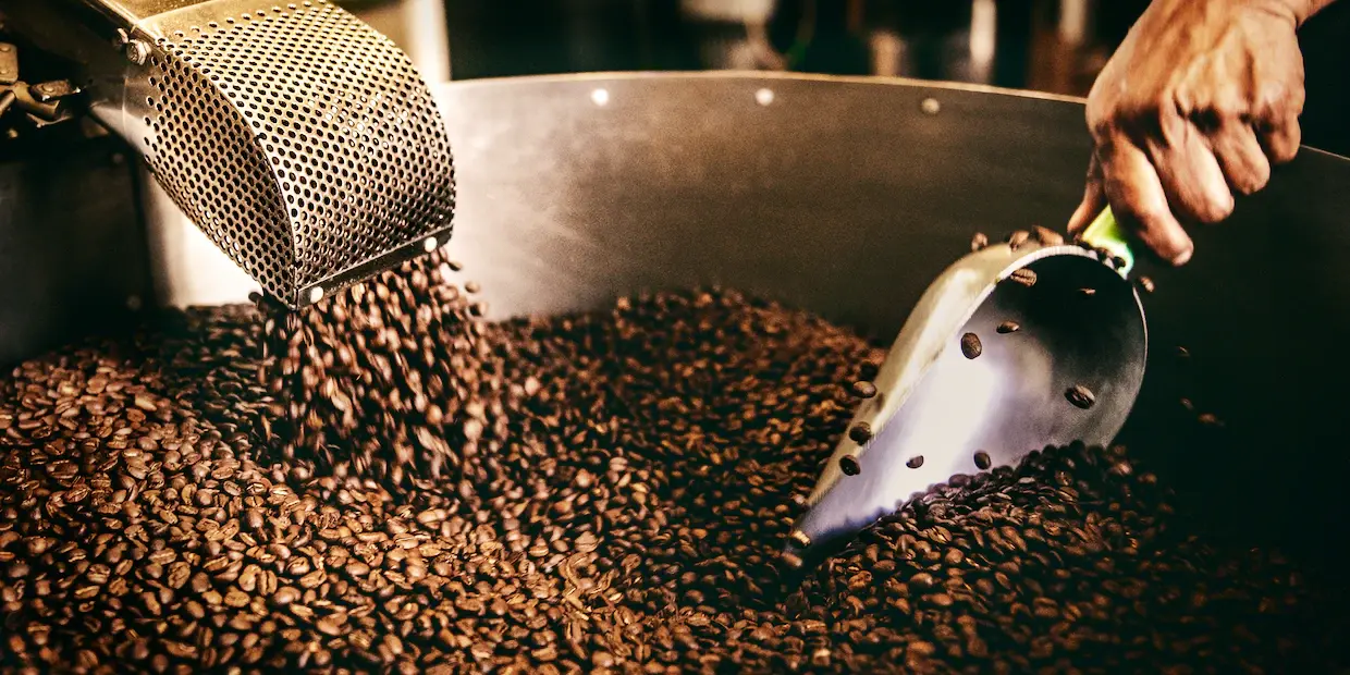 These light roast coffees will make your mornings better